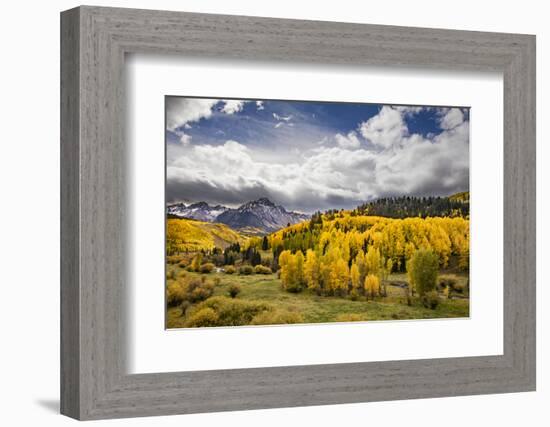 Autumn aspen trees and Sneffels Range, Mount Sneffels Wilderness, Colorado-Adam Jones-Framed Photographic Print