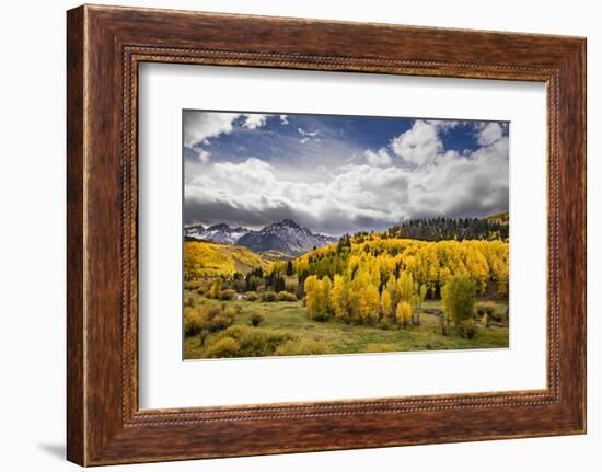 Autumn aspen trees and Sneffels Range, Mount Sneffels Wilderness, Colorado-Adam Jones-Framed Photographic Print