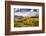 Autumn aspen trees and Sneffels Range, Mount Sneffels Wilderness, Colorado-Adam Jones-Framed Photographic Print