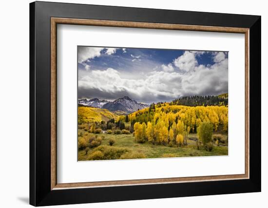 Autumn aspen trees and Sneffels Range, Mount Sneffels Wilderness, Colorado-Adam Jones-Framed Photographic Print