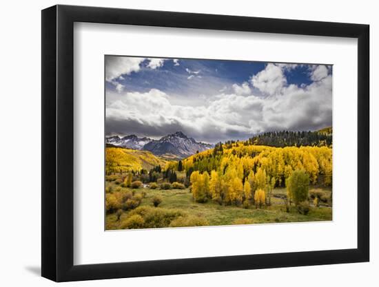 Autumn aspen trees and Sneffels Range, Mount Sneffels Wilderness, Colorado-Adam Jones-Framed Photographic Print