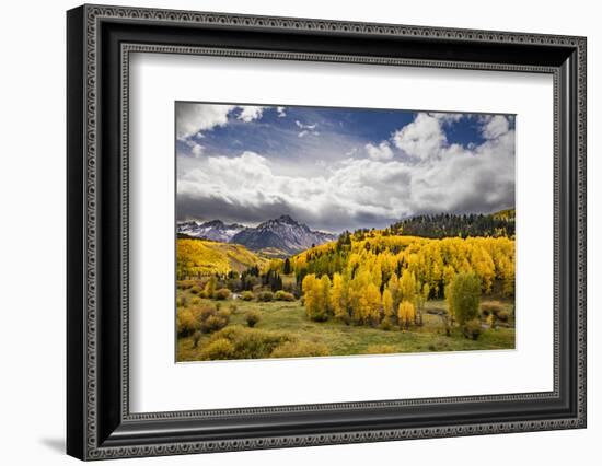 Autumn aspen trees and Sneffels Range, Mount Sneffels Wilderness, Colorado-Adam Jones-Framed Photographic Print