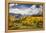Autumn aspen trees and Sneffels Range, Mount Sneffels Wilderness, Colorado-Adam Jones-Framed Premier Image Canvas