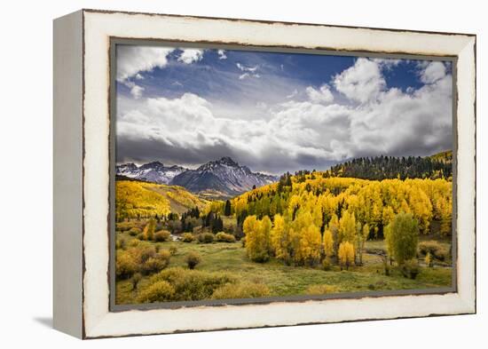 Autumn aspen trees and Sneffels Range, Mount Sneffels Wilderness, Colorado-Adam Jones-Framed Premier Image Canvas