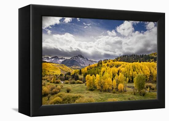 Autumn aspen trees and Sneffels Range, Mount Sneffels Wilderness, Colorado-Adam Jones-Framed Premier Image Canvas