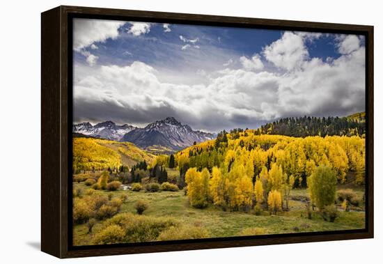 Autumn aspen trees and Sneffels Range, Mount Sneffels Wilderness, Colorado-Adam Jones-Framed Premier Image Canvas