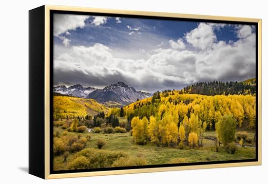 Autumn aspen trees and Sneffels Range, Mount Sneffels Wilderness, Colorado-Adam Jones-Framed Premier Image Canvas