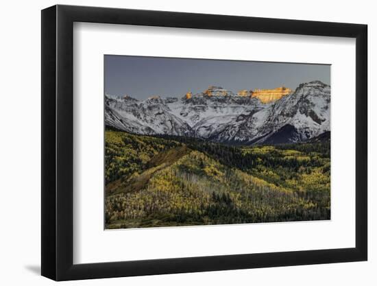 Autumn, aspen trees and Sneffels Range, Uncompahgre National Forest, Colorado-Adam Jones-Framed Photographic Print