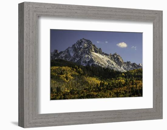 Autumn, aspen trees and Sneffels Range, Uncompahgre National Forest, Colorado-Adam Jones-Framed Photographic Print