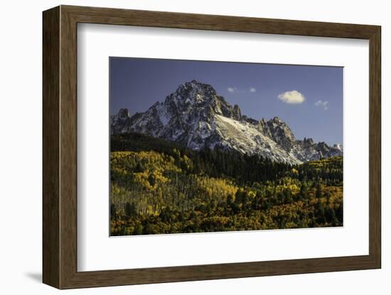 Autumn, aspen trees and Sneffels Range, Uncompahgre National Forest, Colorado-Adam Jones-Framed Photographic Print