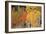 Autumn Aspen Trees-David Nunuk-Framed Photographic Print