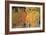 Autumn Aspen Trees-David Nunuk-Framed Photographic Print