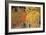 Autumn Aspen Trees-David Nunuk-Framed Photographic Print