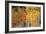 Autumn Aspen Trees-David Nunuk-Framed Photographic Print