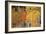 Autumn Aspen Trees-David Nunuk-Framed Photographic Print