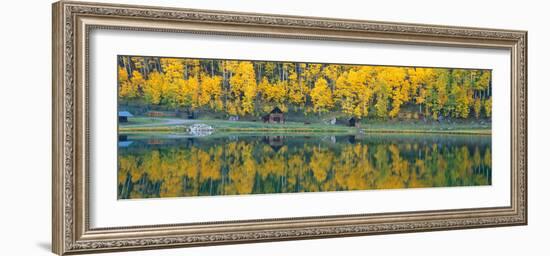 Autumn Aspens Along Route 550, North Durango, Colorado-null-Framed Photographic Print