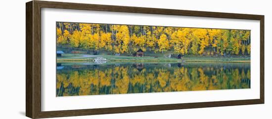 Autumn Aspens Along Route 550, North Durango, Colorado-null-Framed Photographic Print