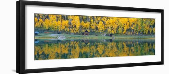 Autumn Aspens Along Route 550, North Durango, Colorado-null-Framed Photographic Print