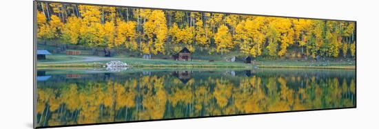 Autumn Aspens Along Route 550, North Durango, Colorado-null-Mounted Photographic Print