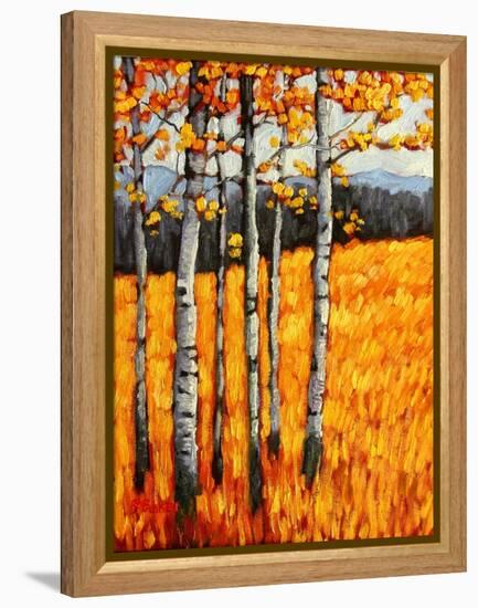 Autumn Aspens at Winter Park, Colorado-Patty Baker-Framed Stretched Canvas