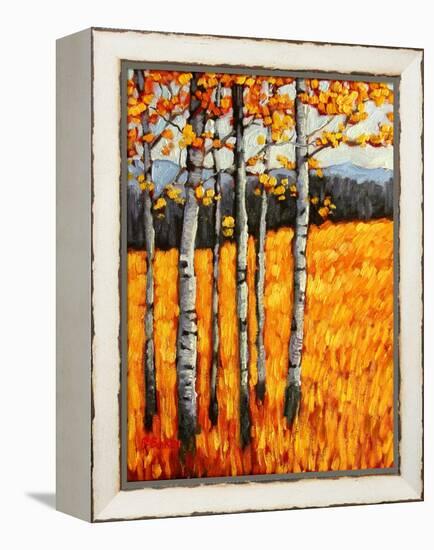 Autumn Aspens at Winter Park, Colorado-Patty Baker-Framed Stretched Canvas