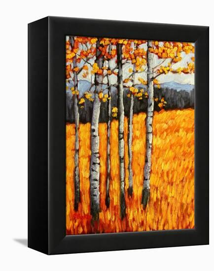 Autumn Aspens at Winter Park, Colorado-Patty Baker-Framed Stretched Canvas