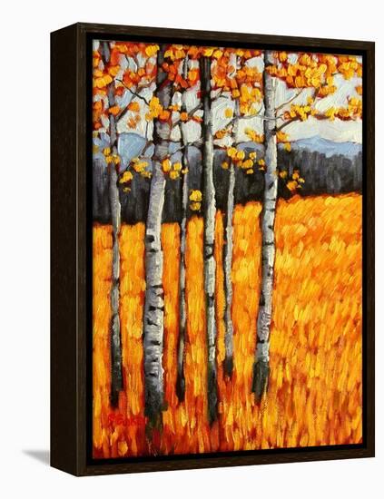 Autumn Aspens at Winter Park, Colorado-Patty Baker-Framed Stretched Canvas