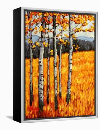 Autumn Aspens at Winter Park, Colorado-Patty Baker-Framed Stretched Canvas