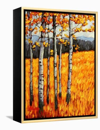 Autumn Aspens at Winter Park, Colorado-Patty Baker-Framed Stretched Canvas