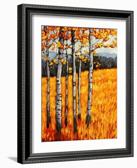 Autumn Aspens at Winter Park, Colorado-Patty Baker-Framed Art Print