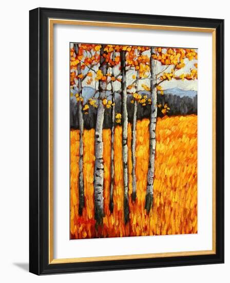 Autumn Aspens at Winter Park, Colorado-Patty Baker-Framed Art Print