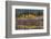 Autumn Aspens Reflect into the Pend Oreille River, Washington-Chuck Haney-Framed Photographic Print