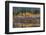 Autumn Aspens Reflect into the Pend Oreille River, Washington-Chuck Haney-Framed Photographic Print