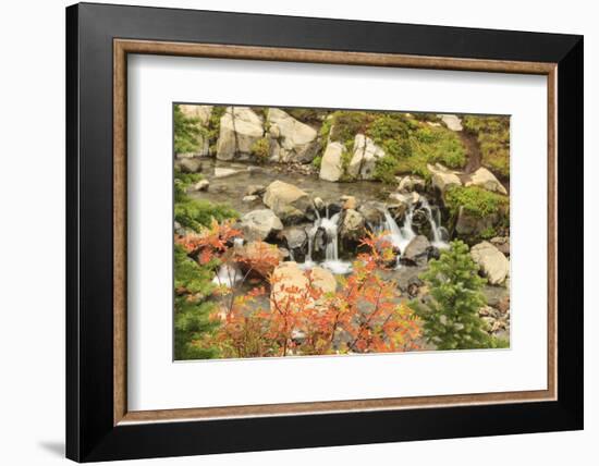 Autumn at Edith Creek Near Paradise Lodge, Mt. Rainier National Park, Wa, USA-Stuart Westmorland-Framed Photographic Print