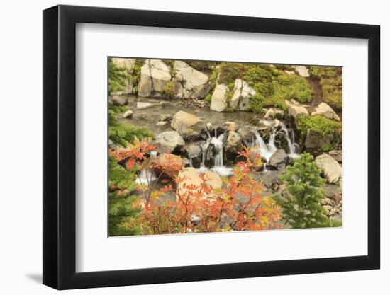 Autumn at Edith Creek Near Paradise Lodge, Mt. Rainier National Park, Wa, USA-Stuart Westmorland-Framed Photographic Print