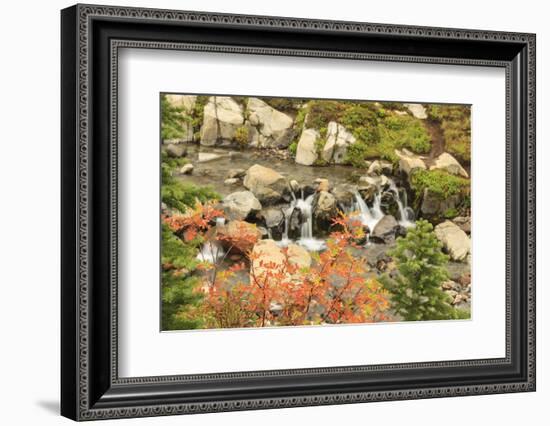 Autumn at Edith Creek Near Paradise Lodge, Mt. Rainier National Park, Wa, USA-Stuart Westmorland-Framed Photographic Print