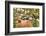 Autumn at Edith Creek Near Paradise Lodge, Mt. Rainier National Park, Wa, USA-Stuart Westmorland-Framed Photographic Print