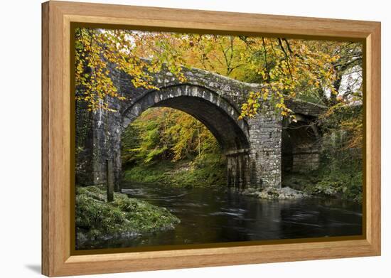 Autumn at Holne Bridge, Dartmoor, England-David Clapp-Framed Premier Image Canvas