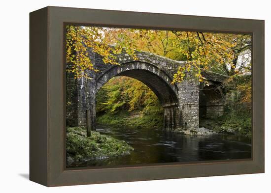 Autumn at Holne Bridge, Dartmoor, England-David Clapp-Framed Premier Image Canvas