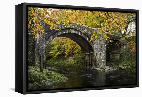 Autumn at Holne Bridge, Dartmoor, England-David Clapp-Framed Premier Image Canvas