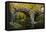 Autumn at Holne Bridge, Dartmoor, England-David Clapp-Framed Premier Image Canvas