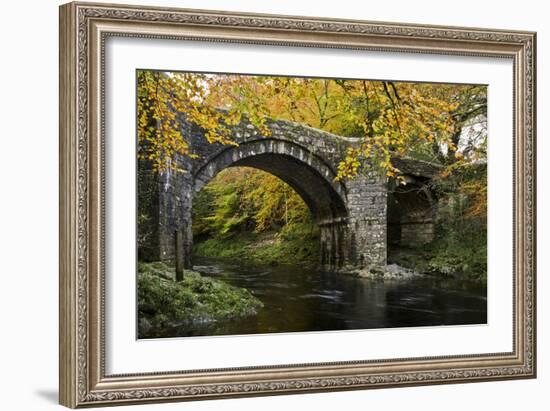 Autumn at Holne Bridge, Dartmoor, England-David Clapp-Framed Photographic Print