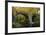 Autumn at Holne Bridge, Dartmoor, England-David Clapp-Framed Photographic Print