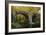 Autumn at Holne Bridge, Dartmoor, England-David Clapp-Framed Photographic Print