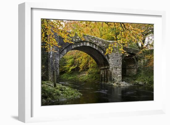 Autumn at Holne Bridge, Dartmoor, England-David Clapp-Framed Photographic Print