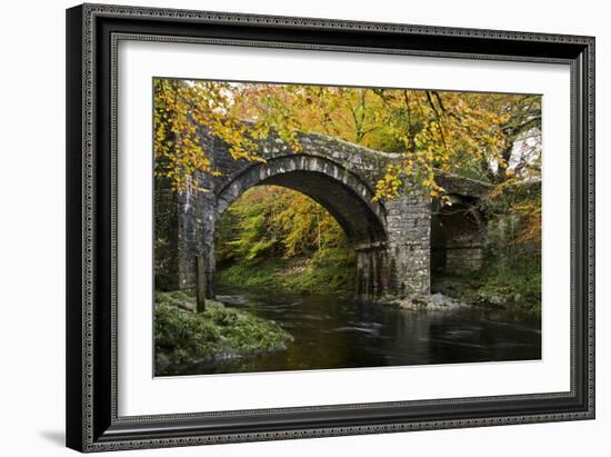 Autumn at Holne Bridge, Dartmoor, England-David Clapp-Framed Photographic Print