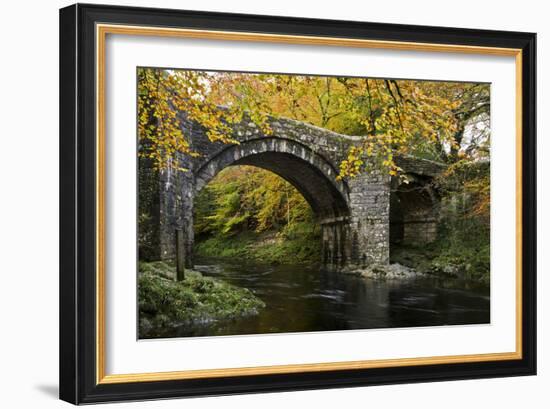 Autumn at Holne Bridge, Dartmoor, England-David Clapp-Framed Photographic Print