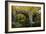 Autumn at Holne Bridge, Dartmoor, England-David Clapp-Framed Photographic Print