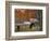 Autumn at Mabry Mill, Blue Ridge Parkway, Virginia, USA-Charles Gurche-Framed Photographic Print