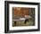 Autumn at Mabry Mill, Blue Ridge Parkway, Virginia, USA-Charles Gurche-Framed Photographic Print